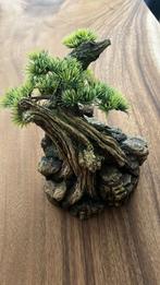 Bonsai boompje voor in aquarium 19 x 18 cm, Ophalen of Verzenden, Zo goed als nieuw