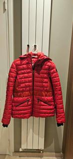 Falcon MAAT M dames Ski Jas, Maat 38/40 (M), Falcon, Ophalen of Verzenden, Zo goed als nieuw