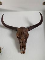 Skull Buffel Goud / Brons, Ophalen, Zo goed als nieuw, Beeldje of Figuurtje