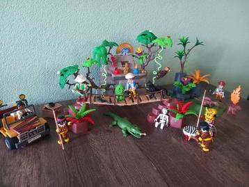 Playmobil Jungle  + baby dinos Set beschikbaar voor biedingen
