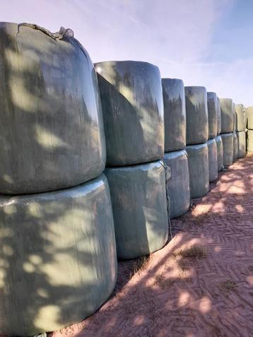 Balen hooi en kuil te koop beschikbaar voor biedingen