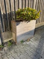 Bloembakken hardhout, Tuin en Terras, Ophalen of Verzenden, Zo goed als nieuw, Vierkant, Hout