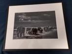 Laurent Baheux - foto - Crossing the Plain 1 - gesigneerd, Antiek en Kunst, Kunst | Tekeningen en Foto's, Ophalen