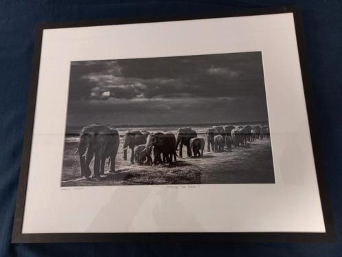 Laurent Baheux - foto - Crossing the Plain 1 - gesigneerd, Antiek en Kunst, Kunst | Tekeningen en Foto's, Ophalen