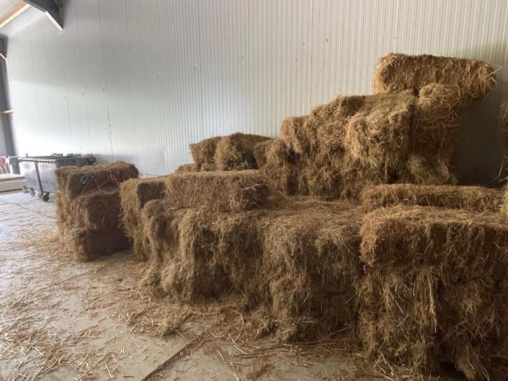te koop b keus hooibalen, Dieren en Toebehoren, Dierenvoeding, Vee, Ophalen