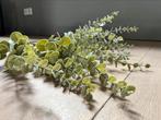 Eucalyptus kunsttak, Ophalen of Verzenden, Zo goed als nieuw
