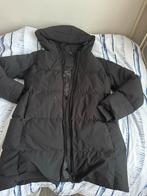 Airforce Winterjas Zwart - Maat XS, Kleding | Dames, Jassen | Winter, Ophalen of Verzenden, Nieuw, Maat 34 (XS) of kleiner, Zwart