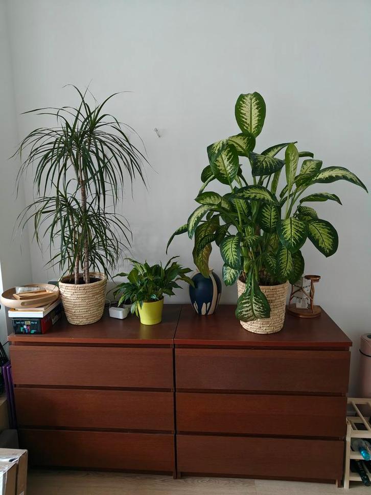 Ikea malm, Huis en Inrichting, Kasten | Ladekasten, Gebruikt, Minder dan 100 cm, 50 tot 100 cm, 25 tot 50 cm, 3 of 4 laden, Ophalen