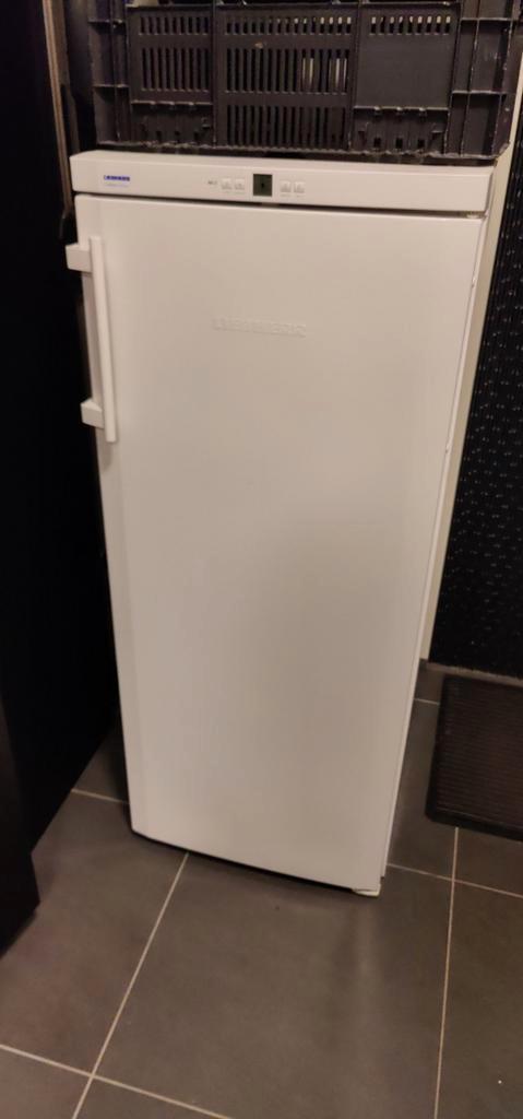 Liebherr No Frost Diepvries - Goede Staat!, Witgoed en Apparatuur, Vriezers en Diepvrieskisten, Gebruikt, Vrijstaand, Vrieskast