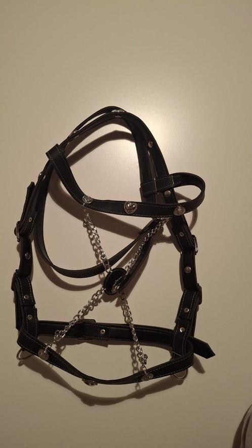 Barok hoofdstel (mini) shetlander, Dieren en Toebehoren, Paarden en Pony's | Hoofdstellen en Tuigage, Nieuw, Dressuur, Ophalen of Verzenden