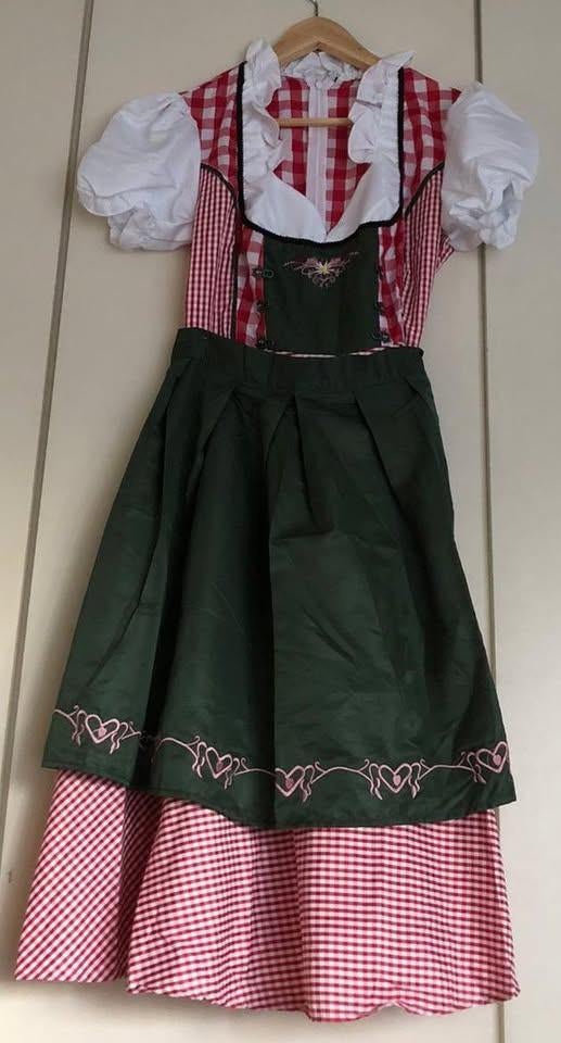 Carnaval dirndl jurk, Kleding | Dames, Carnavalskleding en Feestkleding, Carnaval, Maat 42/44 (L), Ophalen of Verzenden, Kleding
