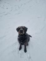 Uitlaatservice gezocht, Uitlaatservice