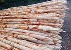 Ik verkoop dennenpalen voor fruitbomen., Ophalen of Verzenden, Zo goed als nieuw, Hout