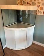 Aquarium Juwel 190 Trigon, Dieren en Toebehoren, Vissen | Aquaria en Toebehoren, Ophalen of Verzenden, Gebruikt, Leeg aquarium