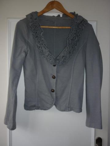 Mooi vest, maat M, grijs beschikbaar voor biedingen