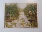 Kaarten van M A Koekoek  // Schoolplaten, Verzenden, 1940 tot 1960, Gelopen, Natuur