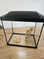 Aquarium met toebehoren (24 liter), Ophalen, Zo goed als nieuw, Leeg aquarium