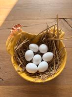 Mooie echte Franse keramieken kippen schaal, Ophalen of Verzenden, Zo goed als nieuw, Overige stijlen, Schaal of Schalen