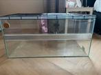 Glazen Hamster kooi incl div spullen, Dieren en Toebehoren, Knaagdieren en Konijnen | Hokken en Kooien, Kooi, Gebruikt, Hamster