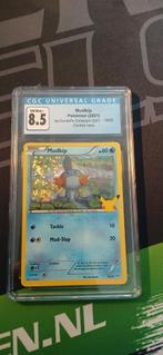 Mudkip Pokémon Kaart - CGC 8.5, Hobby en Vrije tijd, Verzamelkaartspellen | Pokémon, Ophalen of Verzenden, Zo goed als nieuw