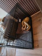 Hondenbench, Dieren en Toebehoren, Hondenbenches, Ophalen