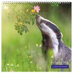 Kalender 2026 Natuurmonumenten NIEUW Nog ingeseald Goed doel, Diversen, Kalenders, Ophalen of Verzenden, Maandkalender, Nieuw