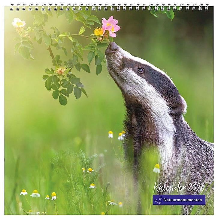 Kalender 2026 Natuurmonumenten NIEUW Nog ingeseald Goed doel, Diversen, Kalenders, Nieuw, Maandkalender, Ophalen of Verzenden