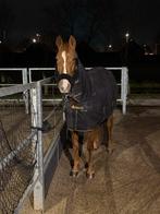 Bucas Turnout deken 150 gram + 0 gram hals maat 130/175, Dieren en Toebehoren, Ophalen of Verzenden