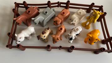 Duplo dieren beschikbaar voor biedingen