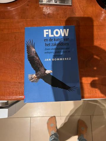 Jan Bommerez - Flow beschikbaar voor biedingen