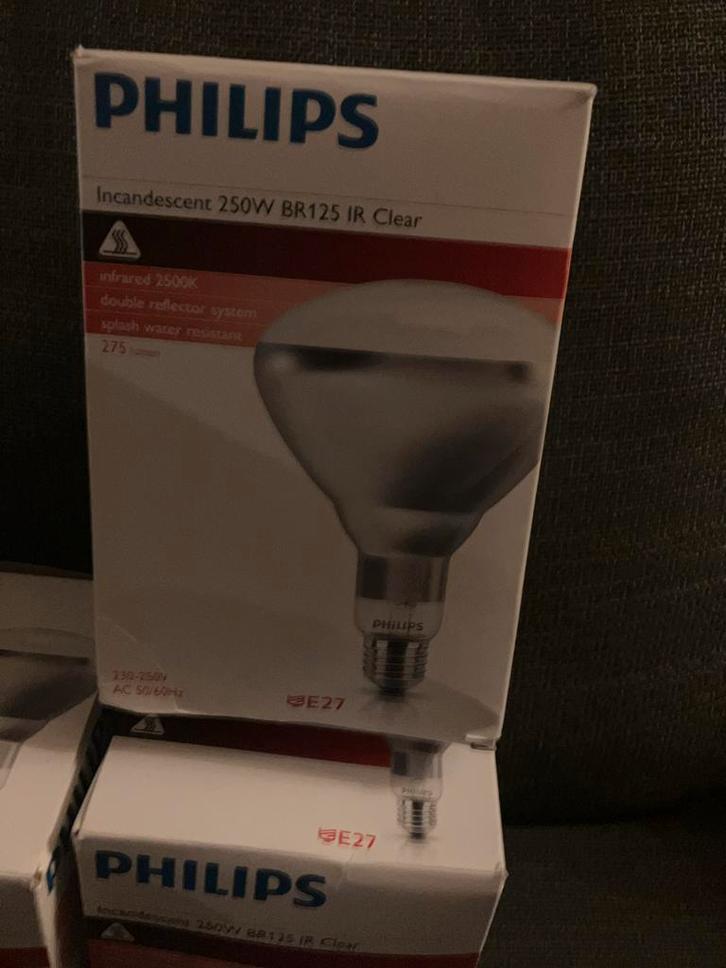 Hitte Lampen - Philips & Hendi 5 stuks, Doe-het-zelf en Verbouw, Bouwverlichting, Nieuw, Lamp, 200 tot 500 watt, Ophalen of Verzenden