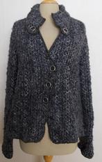 Mooi grijs 100% wollen vest van Caroline Biss! 44, Kleding | Dames, Verzenden, Gedragen, Maat 42/44 (L), Grijs