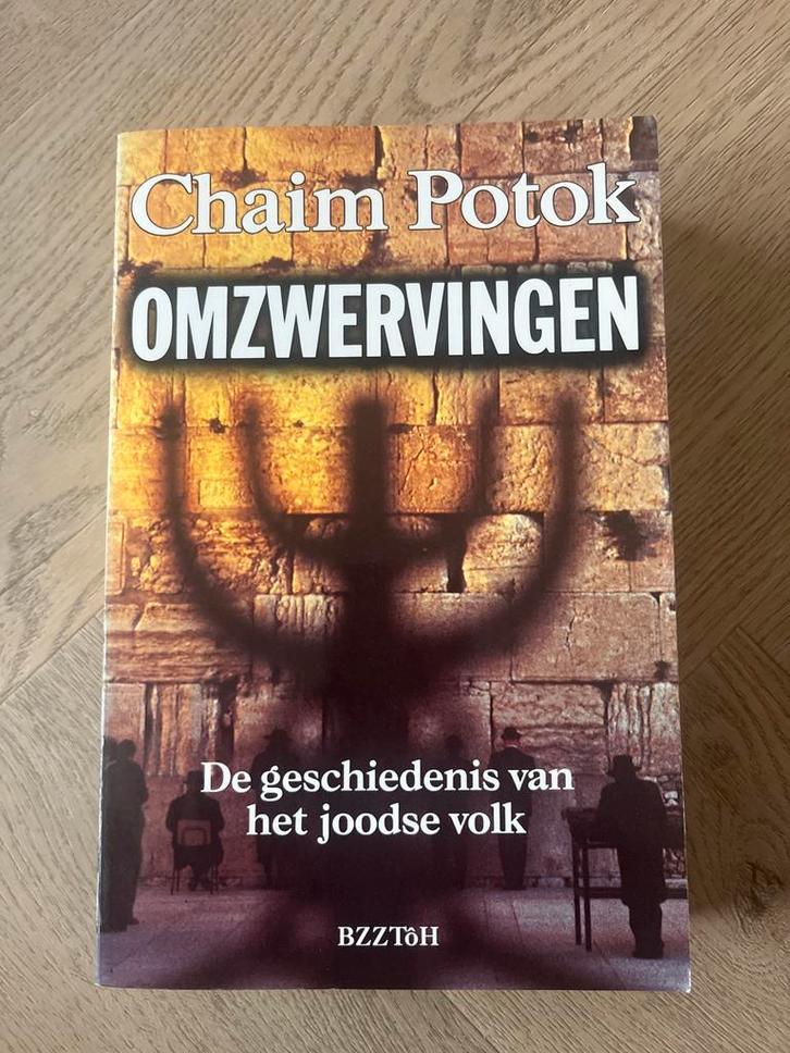 Omzwervingen - Chaim Potok, Boeken, Godsdienst en Theologie, Gelezen, Jodendom, Ophalen of Verzenden