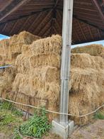 Hooibalen te koop, Dieren en Toebehoren, Dierenvoeding, Ophalen, Vee