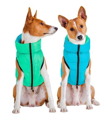 AiryVest Lumi Hondenjas Lichtgevend S30 Lightgreen-Blue -50% beschikbaar voor biedingen
