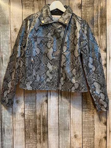 Leuk nieuw jasje met leuke print van Cars Jeans (Maat M) beschikbaar voor biedingen