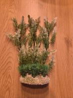 Plant voor aquarium, Dieren en Toebehoren, Vissen | Aquaria en Toebehoren, Ophalen, Nieuw, Plant(en), Steen of Hout