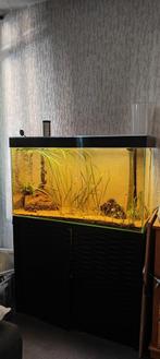 Gratis aquarium plus toebehoren., Dieren en Toebehoren, Vissen | Aquaria en Toebehoren, Ophalen, Zo goed als nieuw, Gevuld zoetwateraquarium