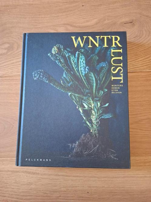Nieuw: Debby De Mangelaere - Winterlust, Boeken, Kookboeken, Zo goed als nieuw, Ophalen of Verzenden