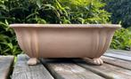 Bonsai schaal licht bruin gemerkt 34,3x26,7x13,5, Tuin en Terras, 25 tot 40 cm, Ophalen of Verzenden, Zo goed als nieuw, Minder dan 40 cm
