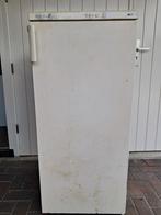 Frenko SF220 Vriezer – 190L – Werkt prima, Ophalen, Gebruikt, Vrijstaand, Vrieskast