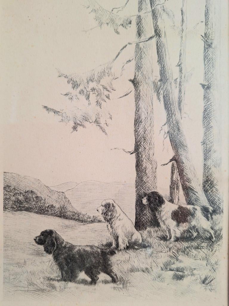 Antieke ets/prent van jachthonden, ingelijst. Lambert&Butler, Verzenden