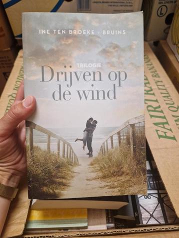 Ine ten Broeke-Bruins - Drijven op de wind beschikbaar voor biedingen