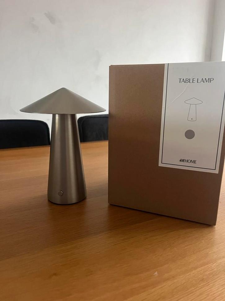 Oplaadbaar tafellampje rvs, Huis en Inrichting, Lampen | Tafellampen, Nieuw, Minder dan 50 cm, Metaal, Ophalen of Verzenden