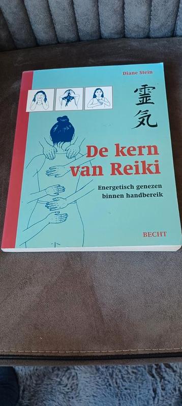 De kern van Reiki Diane Stein  beschikbaar voor biedingen