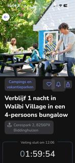 walibi entree ticket en huisje voor 1 nacht, Tickets en Kaartjes, Drie personen of meer, Ticket of Toegangskaart