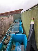 Quarantaine Bakken met Pomp & Benodigdheden, Ophalen of Verzenden, Gebruikt, Leeg aquarium