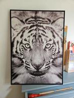Tijger zwart wit poster in omlijsting, Ophalen, Zo goed als nieuw, Foto of Poster