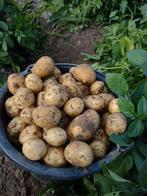 Dorè aardappelen, Diversen, Ophalen