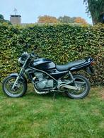 Kawasaki Er500A A2, Particulier, Naked bike
